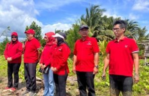 DPC PDI Perjuangan Pangandaran Tanam 1000 Pohon Mangrove di HUT ke-78 Megawati Soekarnoputri