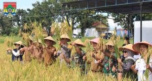 Pemkot Lubuk Linggau Adakan Panen Raya Padi Serentak Secara Nasional