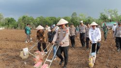 Polres Lubuk Linggau Bersama Forkopimda Kota Lubuk Linggau dan Elemen Masyarakat Melaksanakan Kegiatan Penanaman Jagung Serentak Kuartal III Tahun 2025 