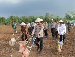 Polres Lubuk Linggau Bersama Forkopimda Kota Lubuk Linggau dan Elemen Masyarakat Melaksanakan Kegiatan Penanaman Jagung Serentak Kuartal III Tahun 2025