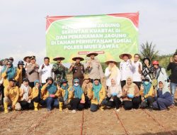 Dukung Program Pangan Nasional, Polres Musi Rawas Tanam Jagung di Lahan Perhutanan Sosial