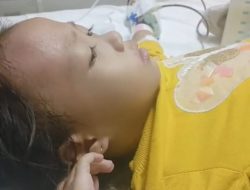 Berjuang Melawan Kanker Leukimia Stadium 4, Sakhiya Butuh Uluran Tangan Dermawan